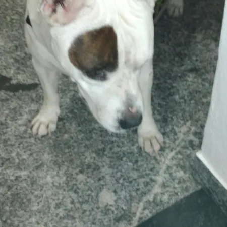 Ca Degli Ulivi Pensión *