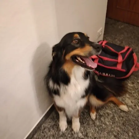 Ca Degli Ulivi * Finale Ligure