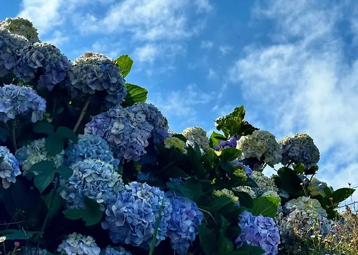 Ca Degli Ulivi Pensionat Finale Ligure