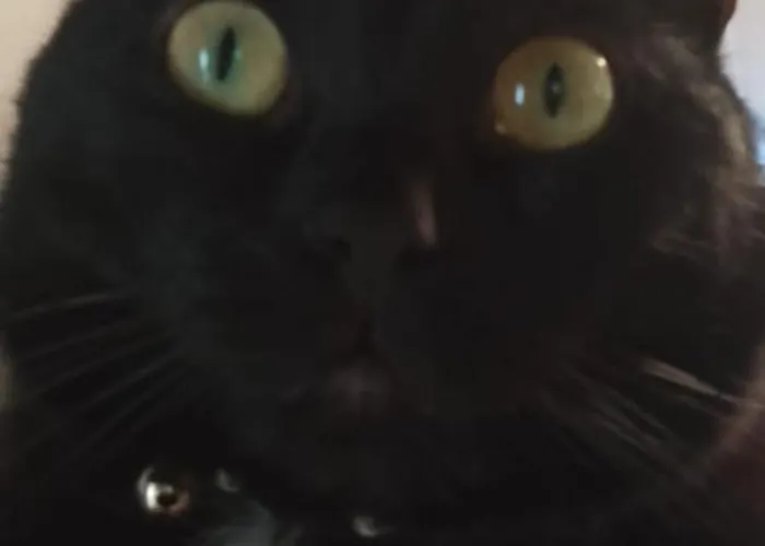 Гостевой дом Ca Degli Ulivi *