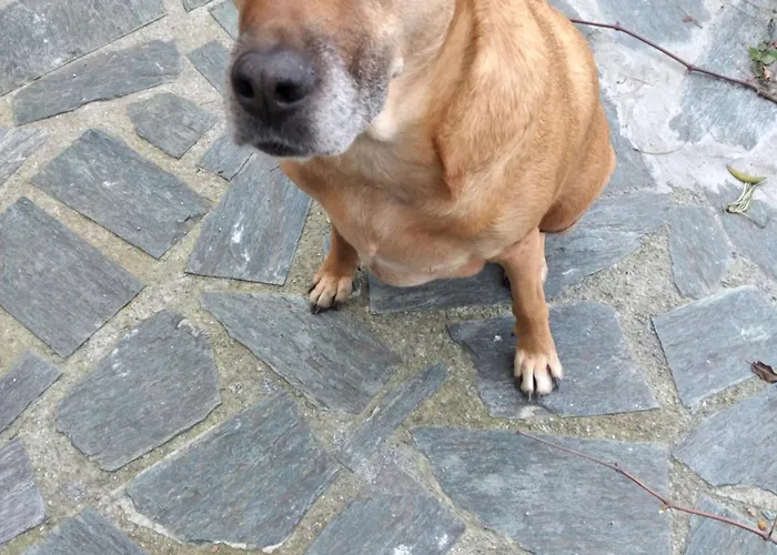 Cà Degli Ulivi *