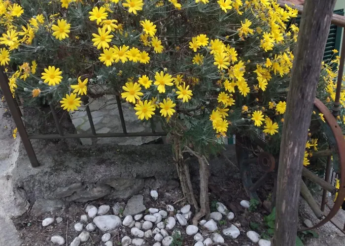 Ca Degli Ulivi Pensionat