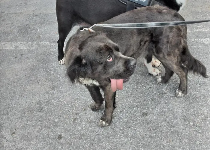 Ca Degli Ulivi Финале Лигуре