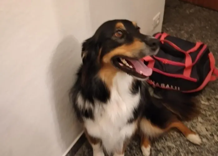 Ca Degli Ulivi * Finale Ligure