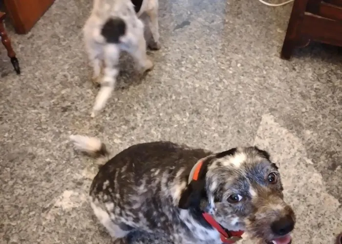 Ca Degli Ulivi * Finale Ligure