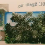 Pensjonat Ca Degli Ulivi Finale Ligure