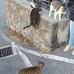 Ca Degli Ulivi *