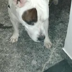 Ca Degli Ulivi Pensjonat *