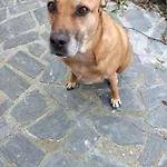 Ca Degli Ulivi *