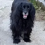 ゲストハウス Ca Degli Ulivi
