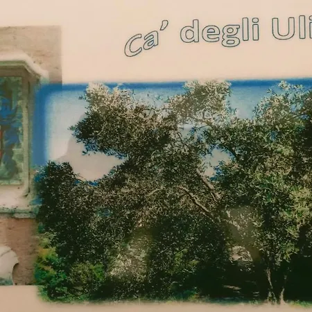 Maison d'hôtes Cà Degli Ulivi Finale Ligure