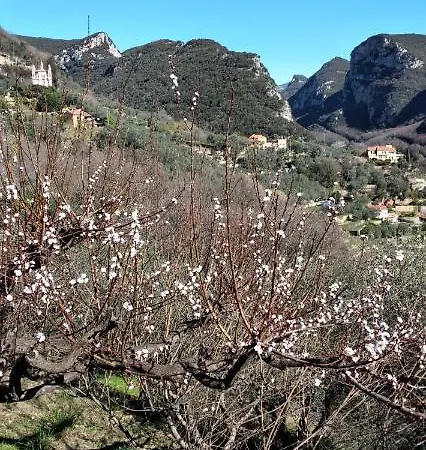 Ca Degli Ulivi Finale Ligure