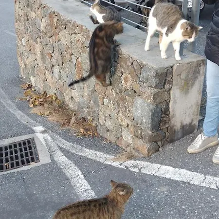 Ca Degli Ulivi *
