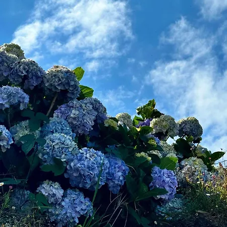 Cà Degli Ulivi Maison d'hôtes Finale Ligure