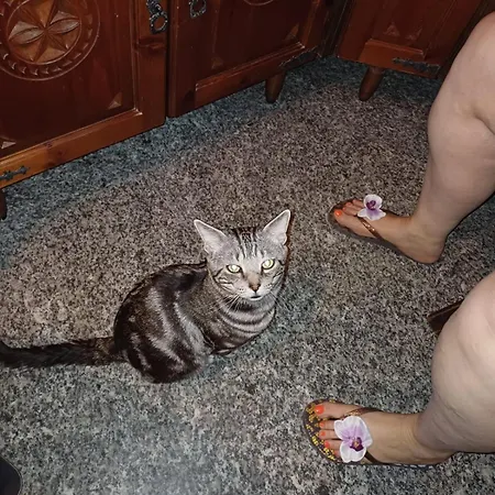 Πανσιόν Ca Degli Ulivi *