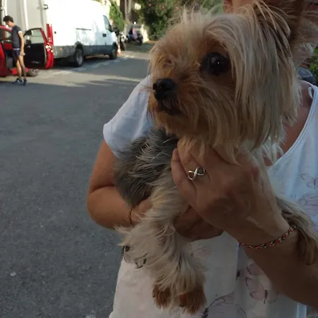 Cà Degli Ulivi Finale Ligure
