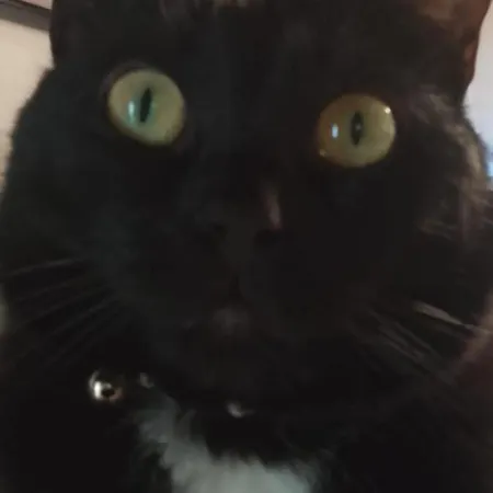 Maison d'hôtes Cà Degli Ulivi *