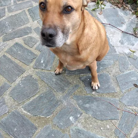 Ca Degli Ulivi *