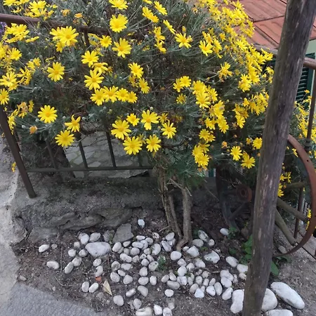 Ca Degli Ulivi Гостевой дом