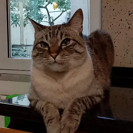 Cà Degli Ulivi Finale Ligure