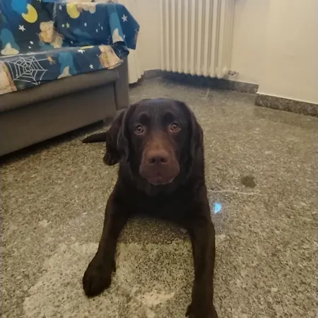 Ca Degli Ulivi * Финале Лигуре