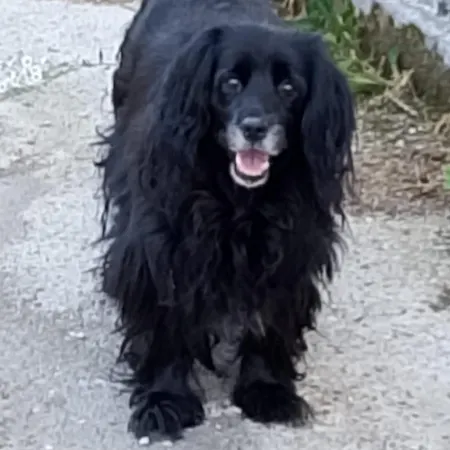 Gasthuis Ca Degli Ulivi