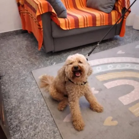 Maison d'hôtes Cà Degli Ulivi *