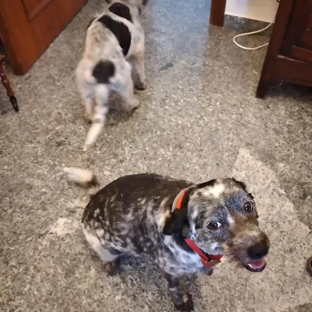 Cà Degli Ulivi * Finale Ligure