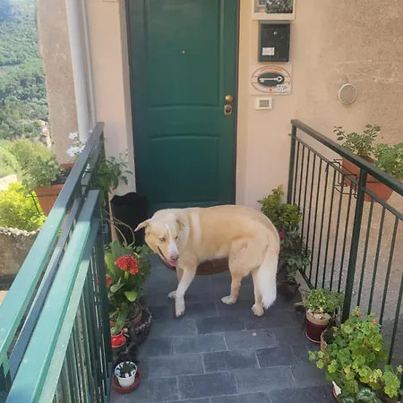 Ca Degli Ulivi