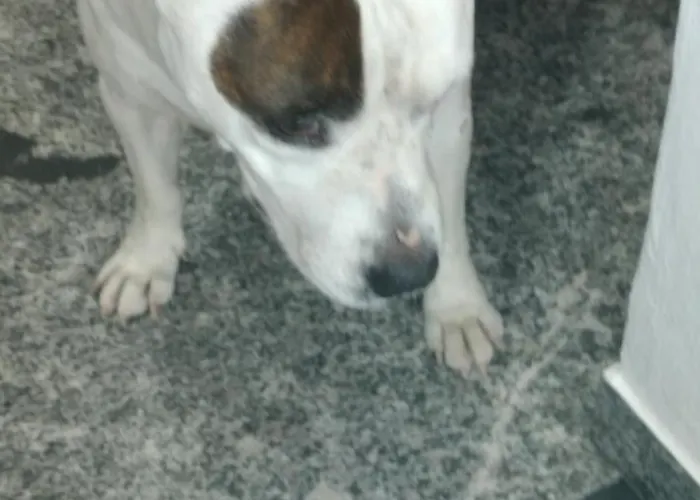 Ca Degli Ulivi בית הארחה *