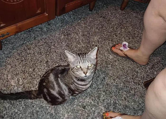 בית הארחה Ca Degli Ulivi *