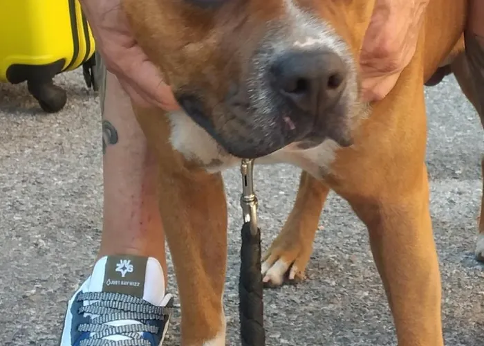 בית הארחה Ca Degli Ulivi