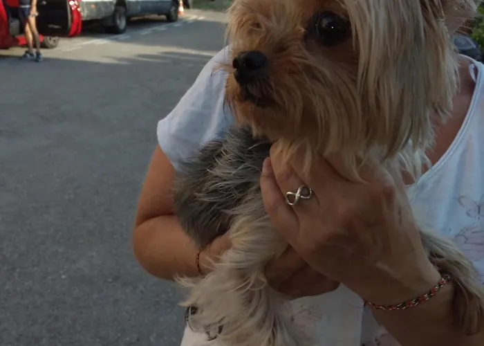 Ca Degli Ulivi פינאלה ליגורה