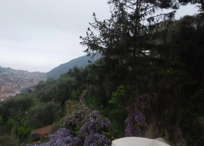 Cà Degli Ulivi *