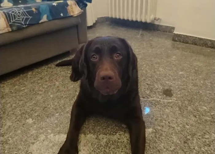 Ca Degli Ulivi * פינאלה ליגורה