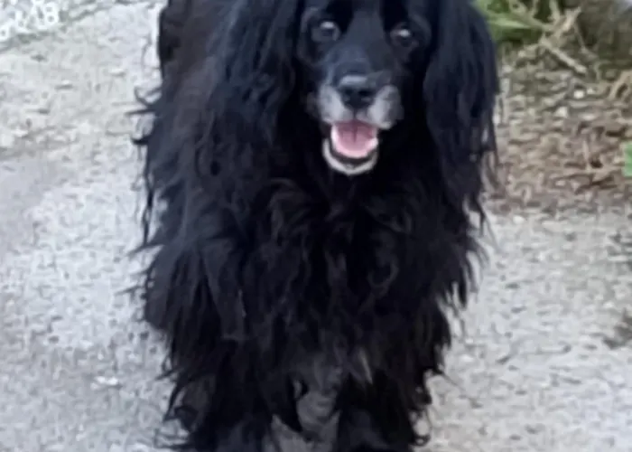 בית הארחה Ca Degli Ulivi